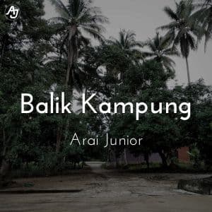 Balik Kampung (Hardstyle Remix)'s album cover