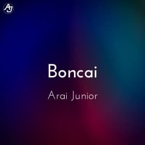 Boncai's album cover