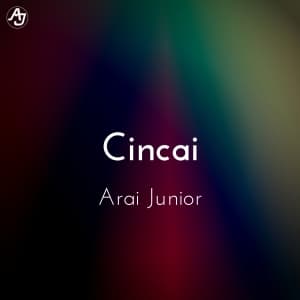 Cincai's album cover