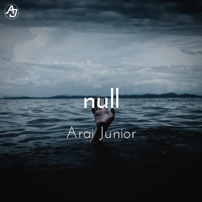 null's album cover