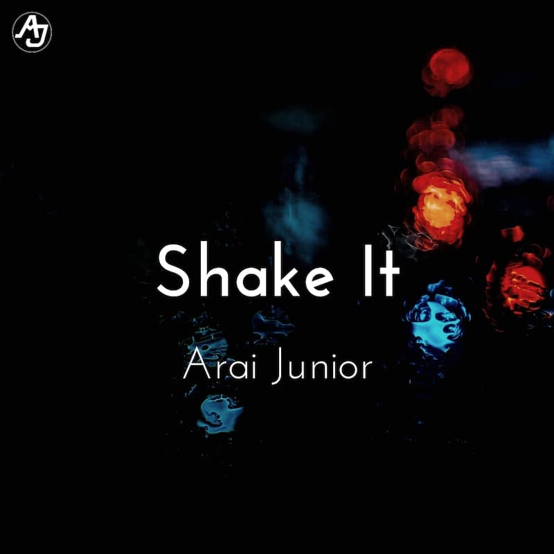 Shake It's album cover