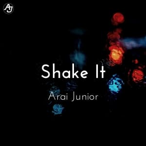 Shake It's album cover